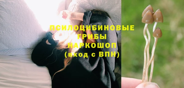 МДПВ Верхний Тагил