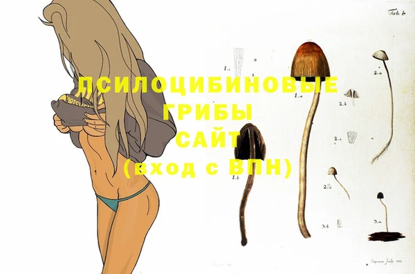 мяу мяу кристалл Верея