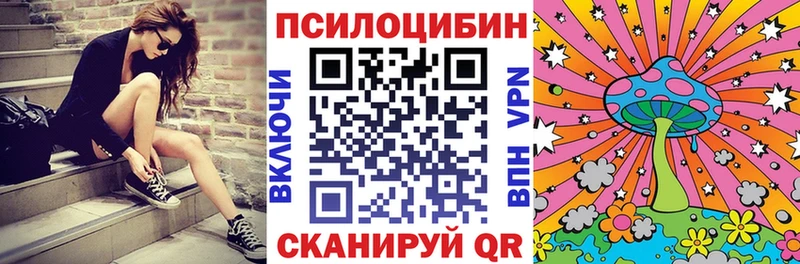 Псилоцибиновые грибы Psilocybine cubensis  цены   Кимры 